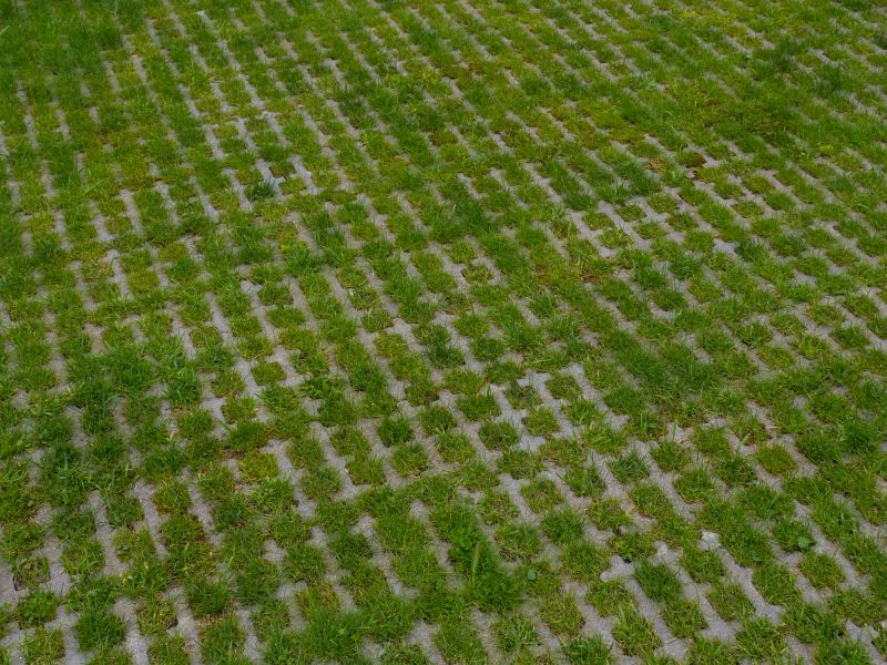 Eco-Friendly Options