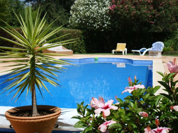 Cost of Pool Terrace Renovation in Grand Rapids